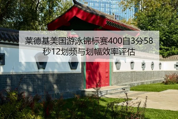 lai-de-ji-mei-guo-you-yong-jin-biao-sai-zi-fen-miao-hua-pin-yu-hua-fu-xiao-lv-ping-gu-2-254.jpg