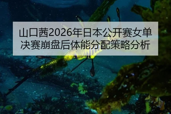 shan-kou-qian-nian-ri-ben-gong-kai-sai-nv-dan-jue-sai-beng-pan-hou-ti-neng-fen-pei-ce-lve-fen-xi-2-578.jpg