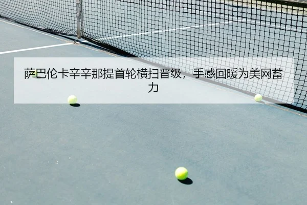 sa-ba-lun-ka-xin-xin-na-ti-shou-lun-heng-sao-jin-ji-shou-gan-hui-nuan-wei-mei-wang-xu-li-2-295.jpg