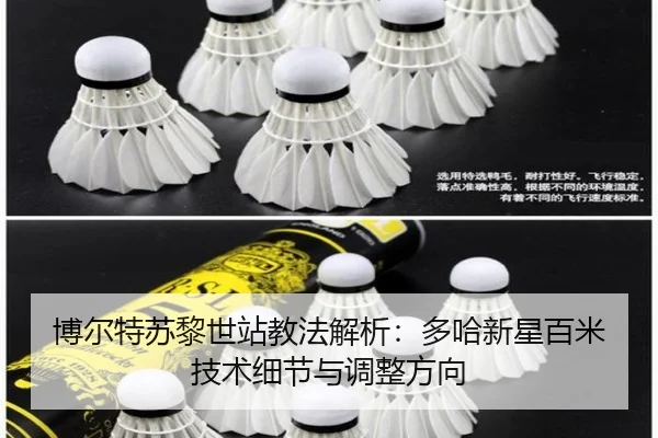 bo-er-te-su-li-shi-zhan-jiao-fa-jie-xi-duo-ha-xin-xing-bai-mi-ji-shu-xi-jie-yu-tiao-zheng-fang-xiang-2-726.jpg